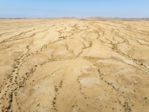 Arid desert plain and dried-up river beds with sparse vegetation. Aerial view. Drone shot. Gondwana