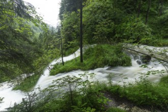 Magical waterfalls in the Weißbachtal valley near Inzell after heavy rain