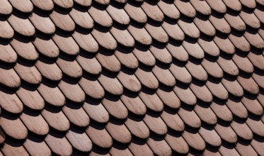 Red shingle roof, house roof, detail, Steyr, Upper Austria, Austria