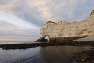 Cliffs with the Porte d'Amont rock gate, Etretat, Alabaster Coast, Seine-Maritime, Normandy, France