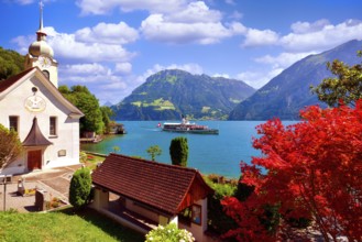 Steamboat on Lake Uri, Roman Catholic church in the village of Bauen, Fronalpstock mountain behind,