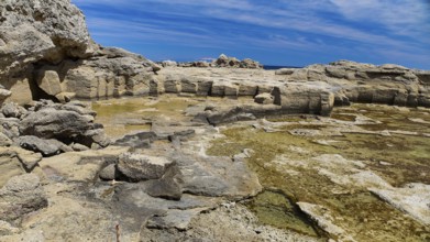 Rocks and seaweed on the coast under a clear sky, Oasis Beach, East Coast Rhodes, Rhodes,
