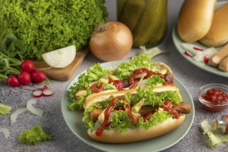 Hot dogs with ketchup, mustard, lettuce and radishes on a green plate