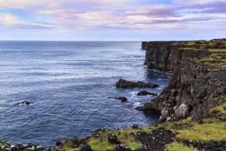 Black basalt cliffs, Svörtuloft cliffs, volcanic landscape, Skalasnagi, Öndverdarnes,