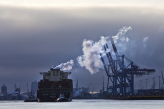 Container ship MSC Tokyo with two small tugs near the Burchardkai container terminal in the Port of