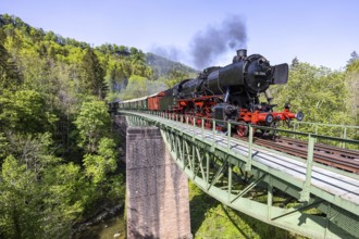 Steam train of the Sauschwänzlebahn steam railway railway Steam locomotive on the Wutach bridge in