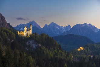 Historic castle in a magical mountain landscape at sunset, Neuschwanstein, Hohenschwangau,