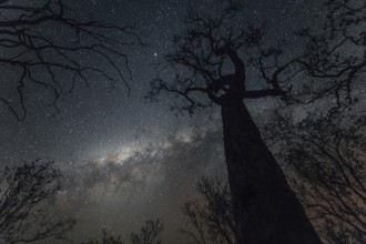 Milky Way Australian Outback, Australia