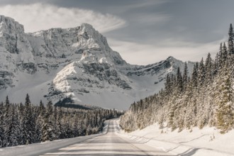 Winter road trip on the Icefields Parkway with lots of snow and ice, Banff National Park, Jasper