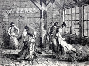 Leather processing, the hair removal and removal of the meat parts from the animal skins by means
