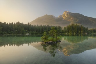 Magical sunrise with fog at Hintersee near Ramsau in Berchtesgadener Land