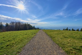 Kandel Höhenweg through a green meadow under bright sunshine with a wide view, Kandel, Waldkirch,