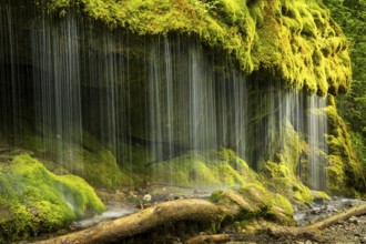 The Dietfurt waterfall, moss and stones, long exposure, Wutach Gorge, Black Forest,