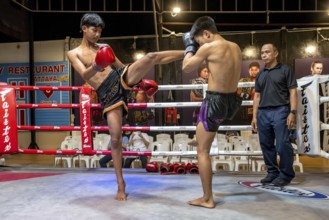 Thai boxing Muai Thai boxer in action, Pattaya, Thailand
