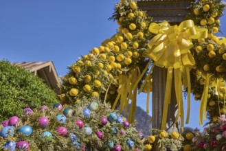Easter fountain, Easter decoration, blown out coloured Easter eggs, trees, historical buildings,