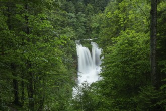 Magical waterfalls in the Weißbachtal valley near Inzell after heavy rain