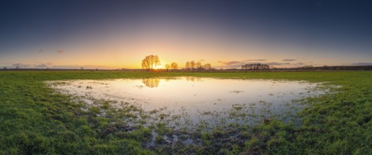 View of a puddle on a meadow at sunset, landscape photo, nature photo, flora, fauna, landscape