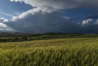 Dramatic cloudy sky with approaching storm and last rays of sunshine, Frankenhain, dark cloud wall,