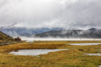 Fog, National Park, Cotopaxi, Ecuador