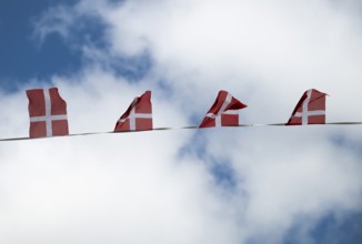 Danish flags fluttering against a cloudy sky, Ringkøbing, Ringkøbing Fjord, Denmark