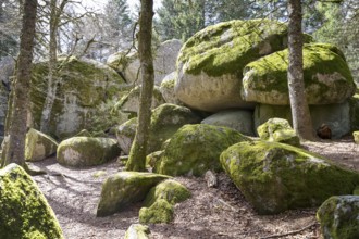 Granite rock Günterfelsen near the source of the Danube, Furtwangen in the Black Forest,