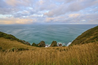Grassy cliffs with tall grass rising above the sea under calm skies, summer, Nugget Point
