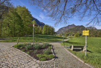Mountain landscape, mountains, hills, forest, footpath, cobblestones, signposts, flowerbed, trees,