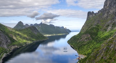 View of Øyfjorden fjord and mountains, fjord landscape with mountain peaks, hike to Barden