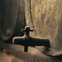 Inside an ancient winery cellar in France, a worn wine barrel stands prominently. Dust coats the