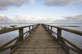 Wooden walkway in the Wadden Sea, Wadden Sea National Park, North Frisia, Schleswig-Holstein,