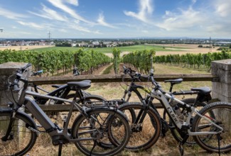Bicycles of recreational athletes, Wickerer vineyards at the Flörsheimer Warte, Hesse, Germany