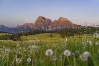 Gently illuminated mountain peaks in front of a wide summer meadow at dusk, Sassolungo Group, Alpe