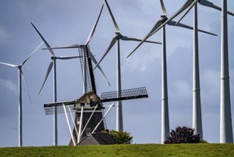 Westereems and Growind wind farms, over 80 wind turbines in total, at the Eemshaven seaport,