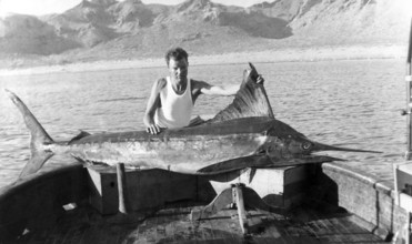 Striped marlin (Kajikia audax), fisherman showing catch in his boat. ca. 1930s