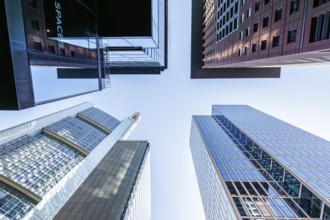 Frankfurt skyline skyscrapers buildings banks modern work offices in Frankfurt, Germany