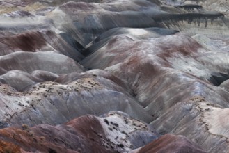 Colorful deposits of the Chinle Formation exposed at Little Painted Desert County Park near