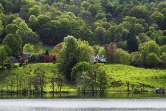 Grasmere Lake, Grasmere, Ambleside, Lake District, Westmorland, Cumbria, England, United Kingdom