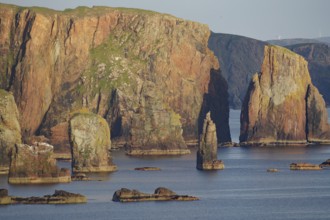 Towering cliffs and rocks in the sea under a clear sky, Eshanness, Shetland Islands, Scotland,