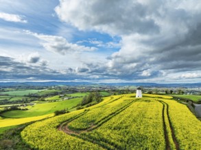Rapeseed fields and Farms over Devon Windmill from a drone, Torquay, Devon, England, United Kingdom