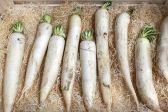 White carrots