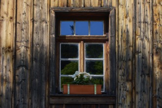 Rustic wooden window with flower box in a play of light and shadow, Triberg im Schwarzwald,