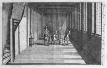 Growing, cultivating and overwintering citrus fruits, copperplate engraving from Nederlantze