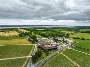 Vineyard of Chateau Beychevelle from a drone, Saint-Julien-Beychevelle, France