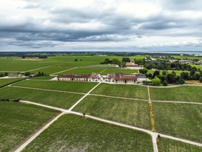Chateau Pontet-Canet Vineyard and grape fields around Pauillac and Gironde Estuary from a drone,
