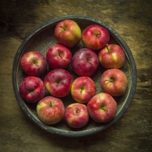 A collection of vibrant red apples fills a round bowl, placed on a textured wooden surface. The