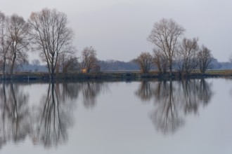 Evening mood at Moosinninger Weiher, quarry pond, fishing pond for carp, reflection of the trees on