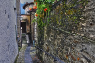 Narrow Street with Old Rustic House and Beautiful Flowers in Ronco sopra Ascona, Ticino,