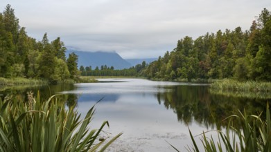 A calm lake with mountains in the background, surrounded by dense vegetation under a cloudy sky,