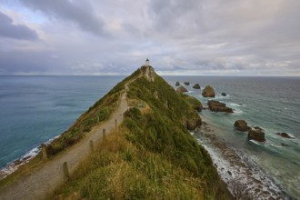 A lonely lighthouse on a green headland, surrounded by rocks in the sea, summer, Nugget Point