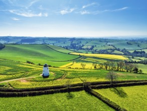 Rapeseed fields and Farms over Devon Windmill from a drone, Torquay, Devon, England, United Kingdom
